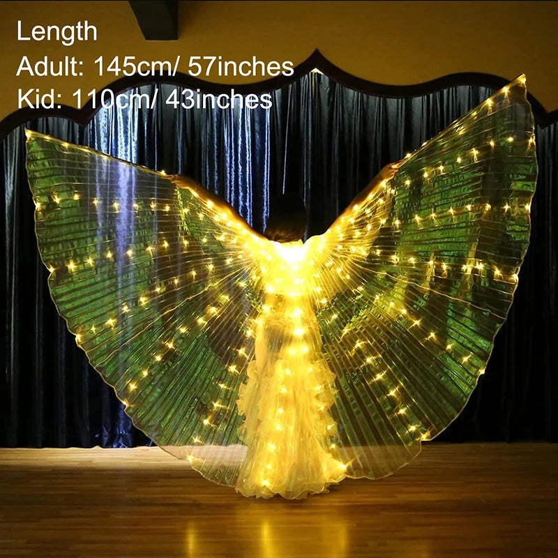 Light Up Fairy Wings